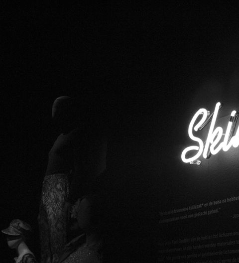 Skin deep zw