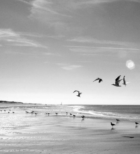 Strand Zw